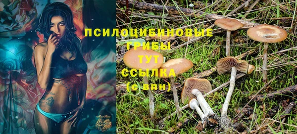 винт Магас