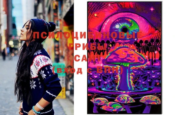 дмт Медвежьегорск
