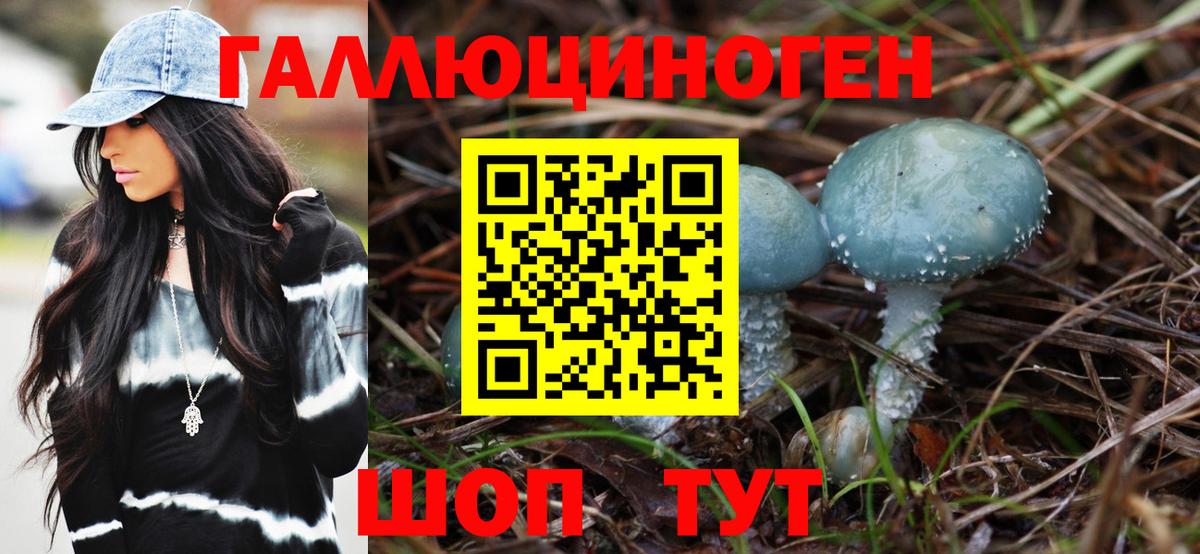 Галлюциногенные грибы GOLDEN TEACHER Темрюк